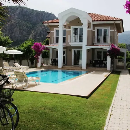 빌라 Amazon 달리안